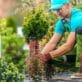 10 Creative Landscaping Ideas for Your Dublin Garden